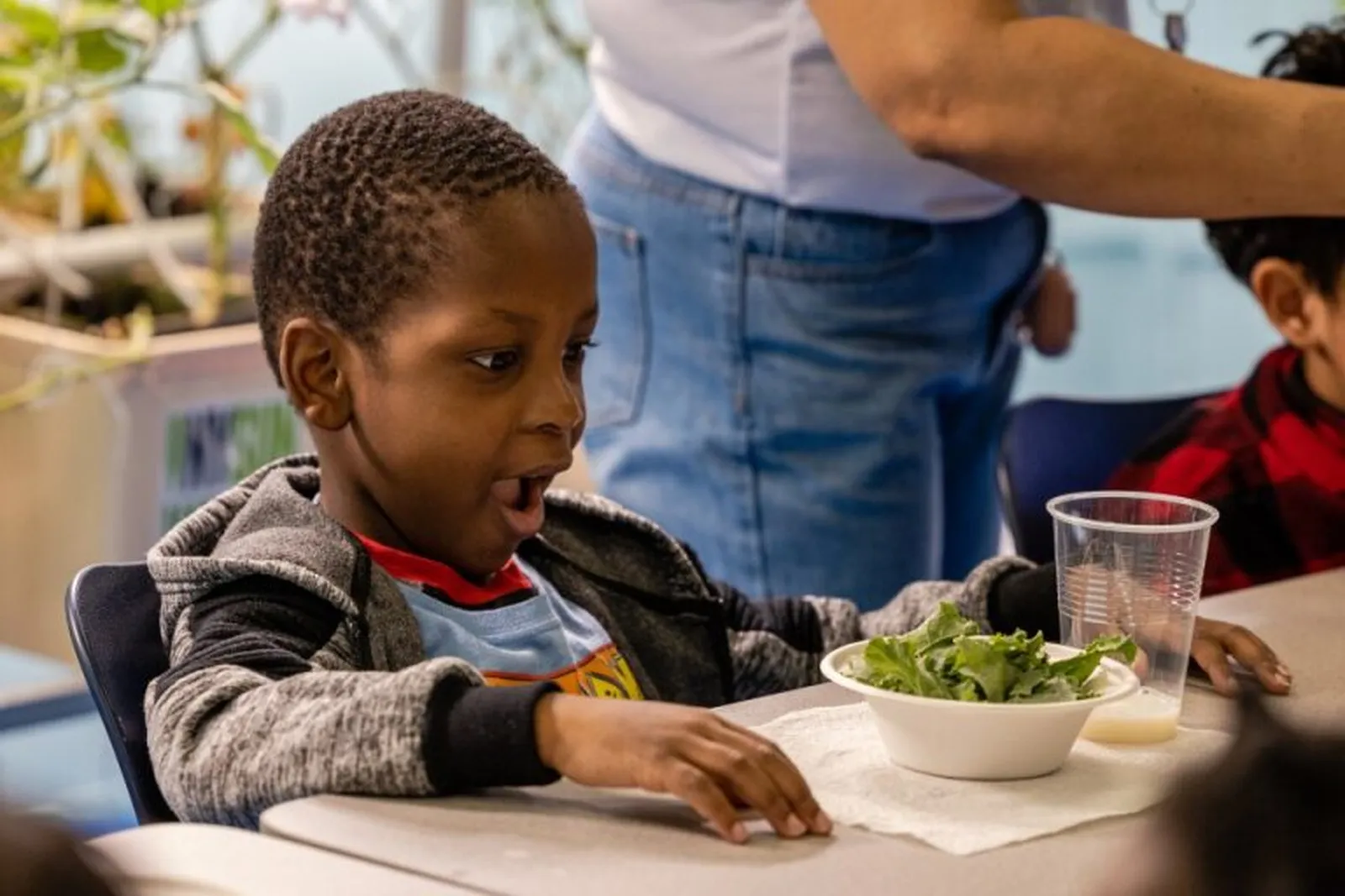 Young boy sitting at a table looking surprised at a bowl of leafy greens during a classroom activity.