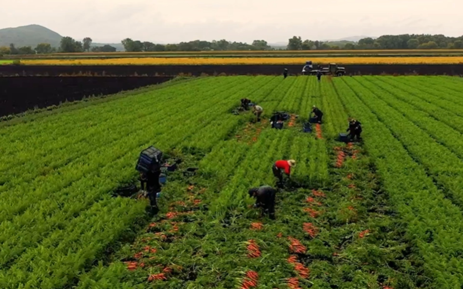 FBNYC Farm Partners Image FBNYC Farm Partners