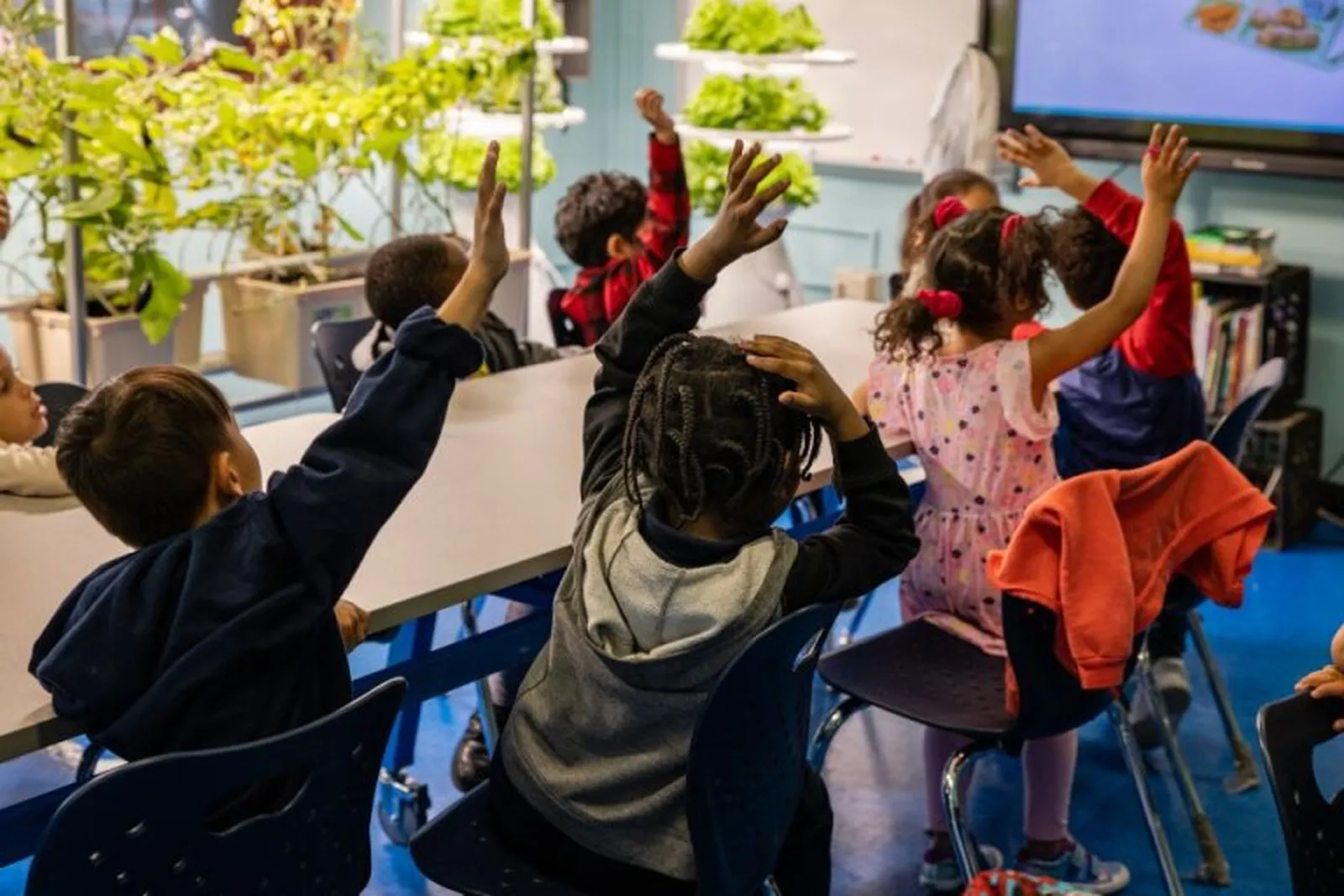 Group of young children seated at tables with hands raised during a classroom lesson on healthy eating, with fresh plants growing in the background.