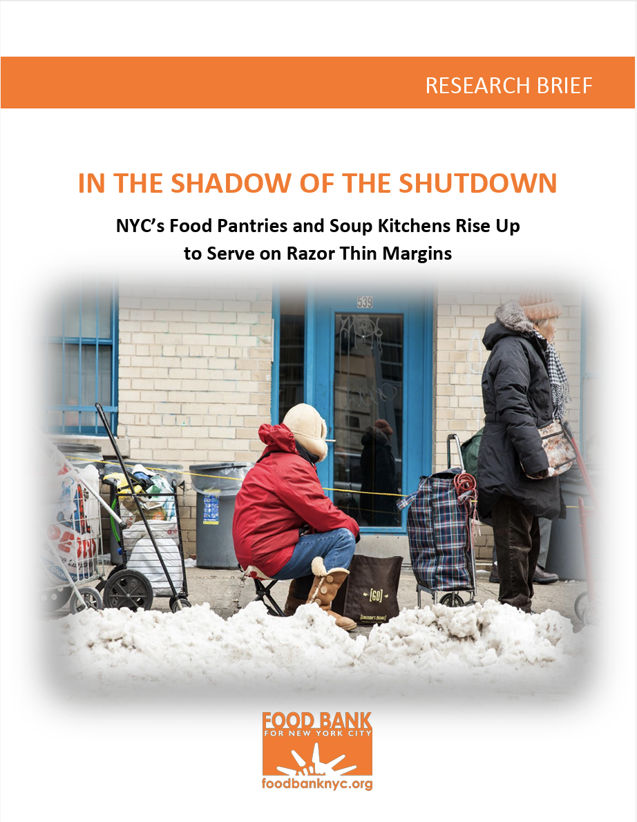 Cover Image of the research brief for The Shadow of the Shutdown