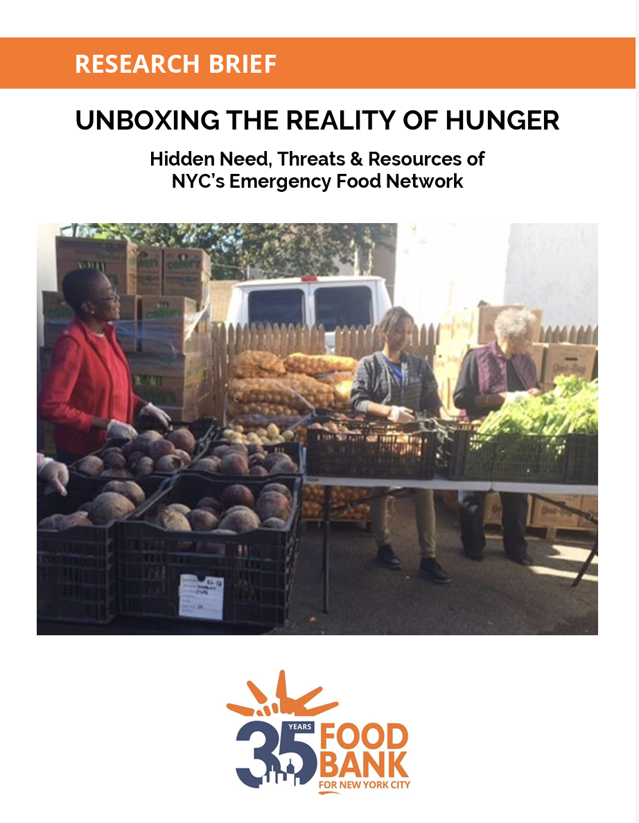 Cover image of research brief of Unboxing the Reality of Hunger